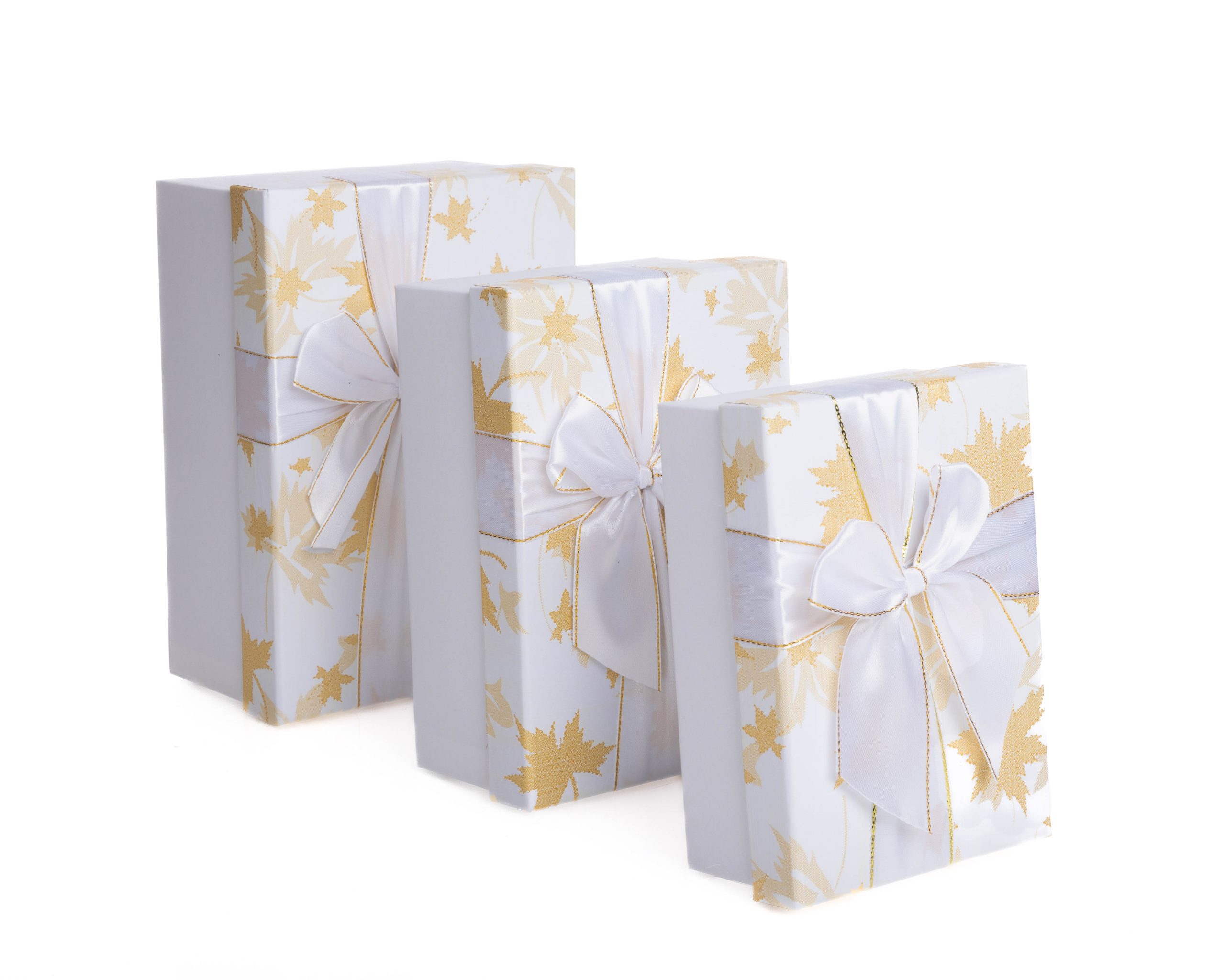 Set 3 cutii dreptunghiulare cu frunze de toamna , alb